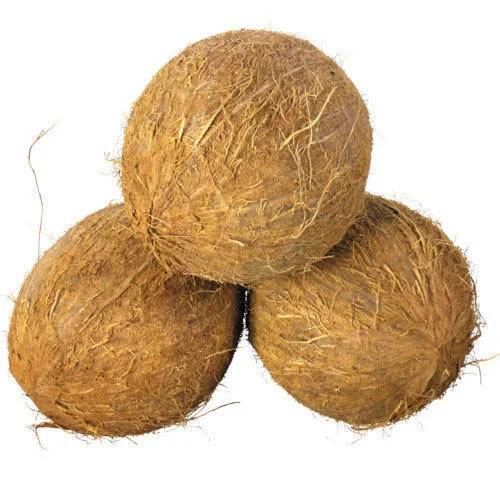 Pollachi Coconut