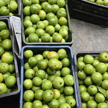 Palani Aayakudi Guava