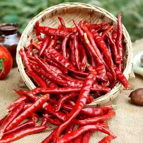 Guntur Red Chillies