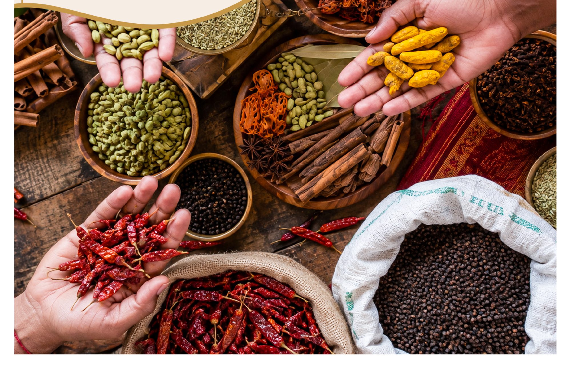 Hands sourcing cardamom, turmeric and red chillies at origin in India